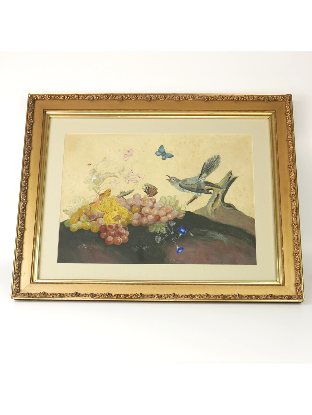 Antique Still Life Print Watercolor Grapes Birds Flowers Gold Gilt Frame 23x19